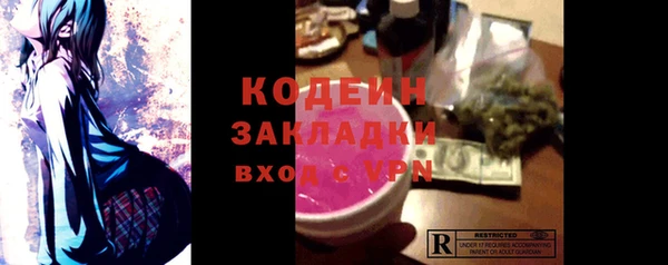 шишки Арсеньев