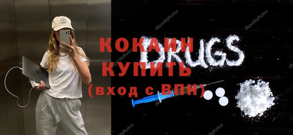 шишки Арсеньев