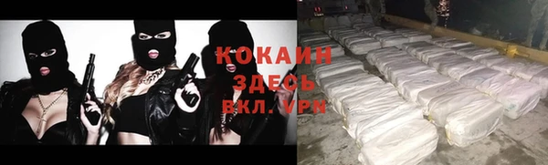 шишки Арсеньев