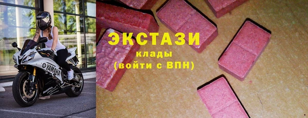 шишки Арсеньев