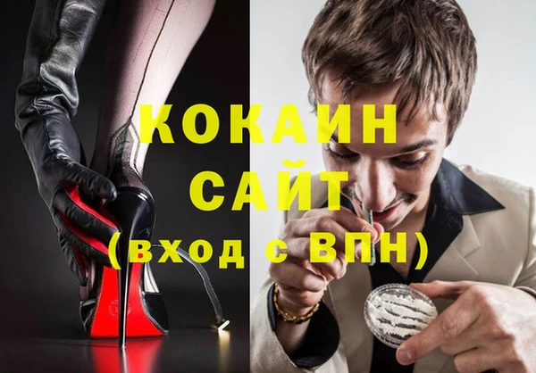 шишки Арсеньев