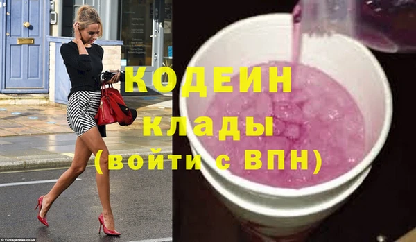 шишки Арсеньев