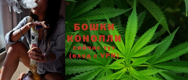 бошки Аркадак