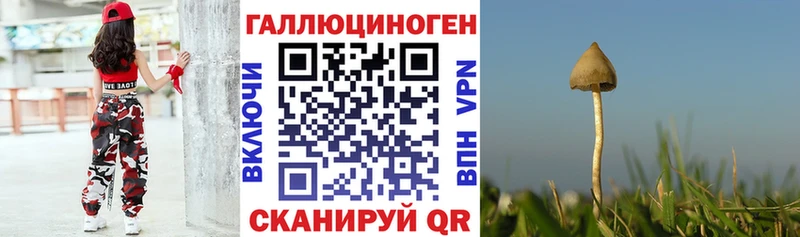 Галлюциногенные грибы GOLDEN TEACHER  Цивильск 