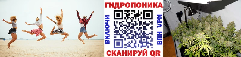 Бошки марихуана план Цивильск